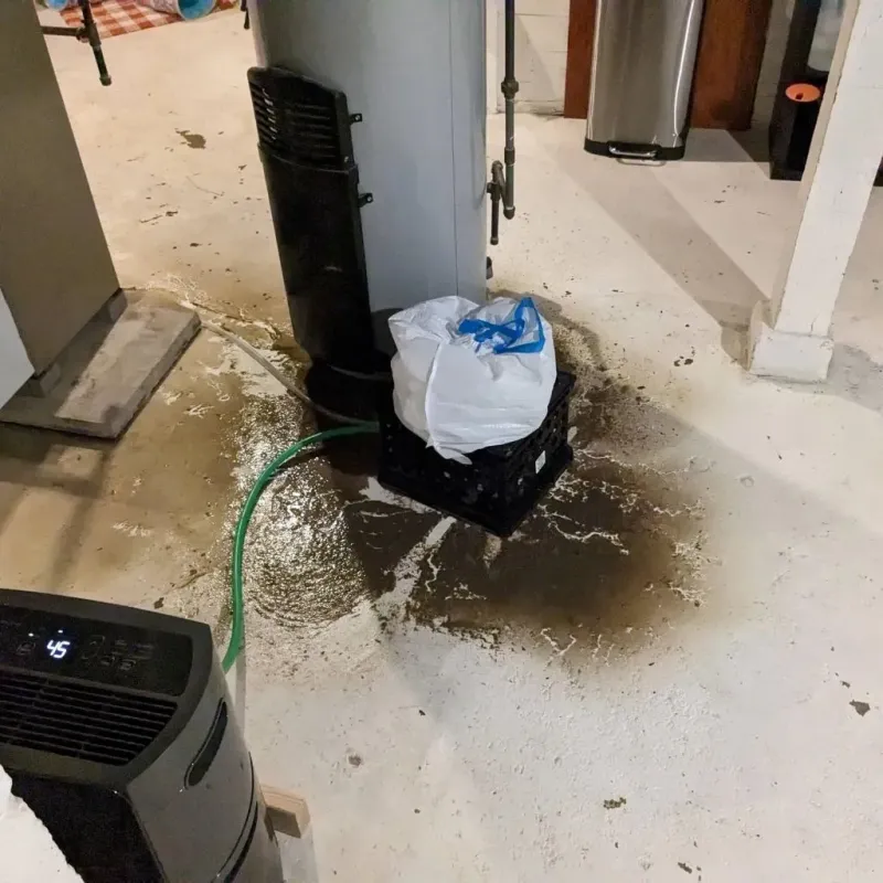 Sewage Backup Cleanup Service in Estill, SC
